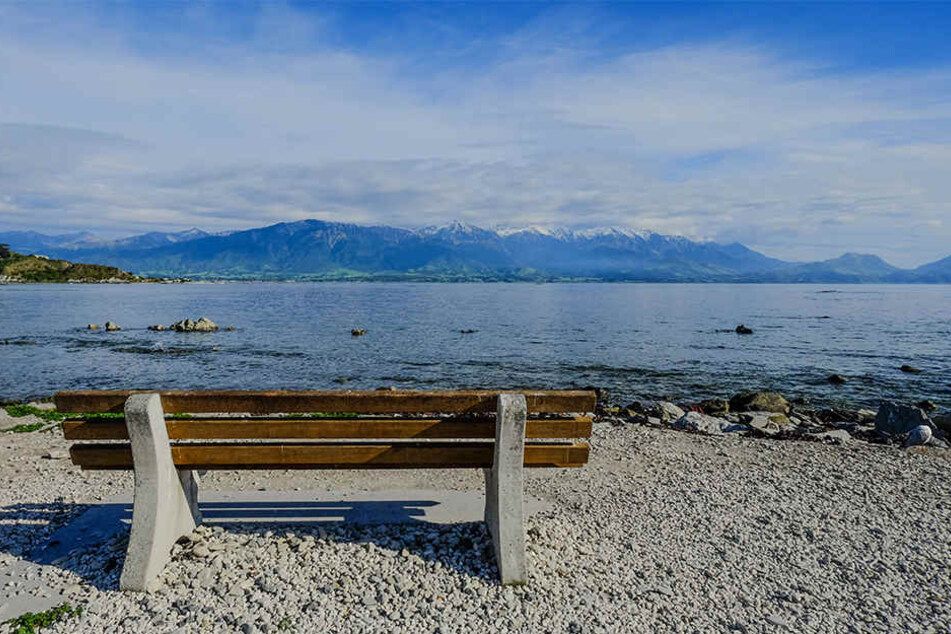 An einem Strand in Neuseeland wurde das gruselige Etwas gefunden. (Symbolbild)