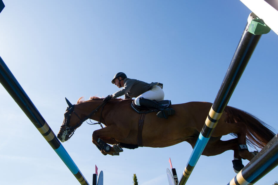 Die deutsche Reitlegende Ludger Beerbaum und sein Pferd Casello springen beim Derby-Turnier 2016 in Hamburg-Klein Flottbek über ein Hindernis.