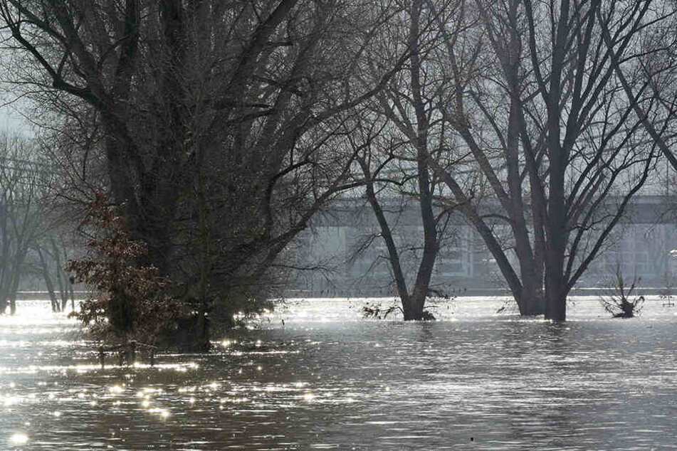 Der Rheinpegel in Köln steigt wieder an.
