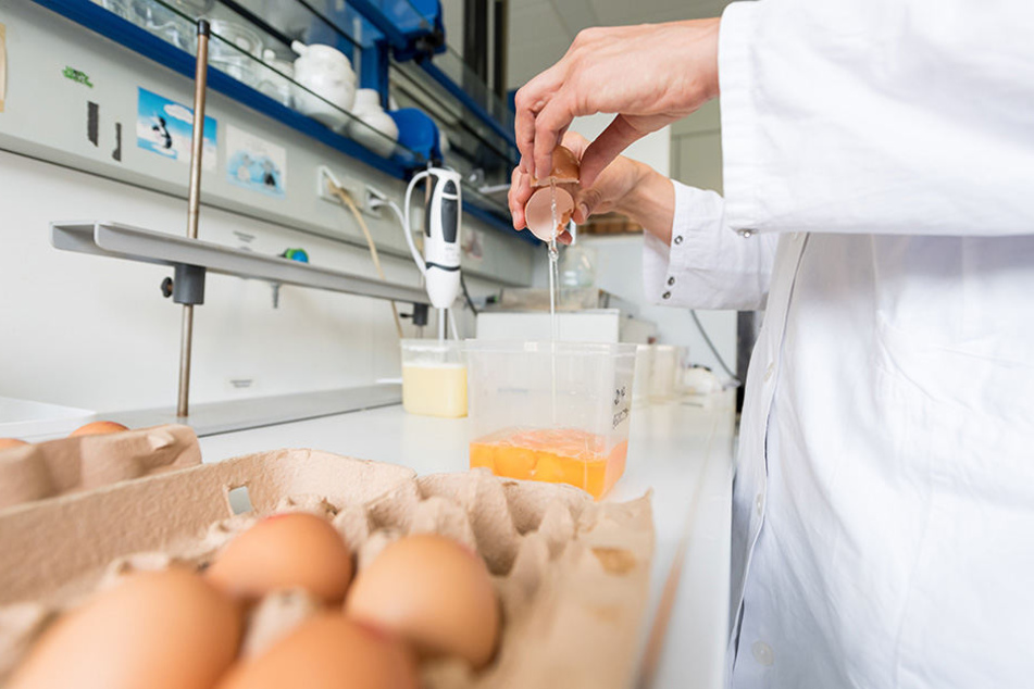 Veterinärämter sind fleißig dabei, auch die letzten Spuren von Fipronil ausfindig zu machen.