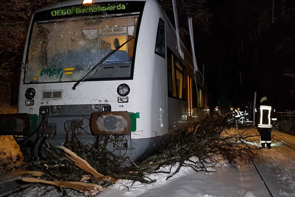 Die ODEG krachte mit einem Baum zusammen.