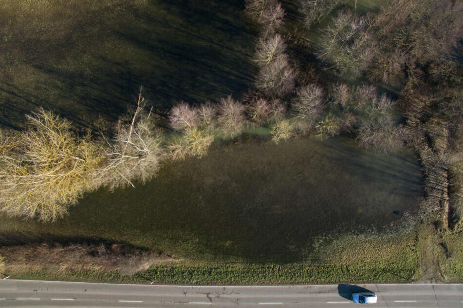 Der See war nach Angaben der Stadt Eppingen durch den Rückstau des Dammes am kleinen Hilsbach entstanden. Wochenlang hatten die Nager penibel Äste und Kleinholz aufeinandergestapelt und das Wasser angestaut.