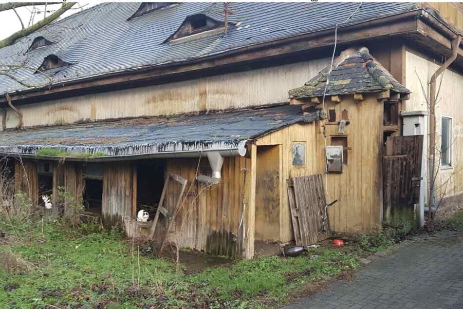 Elf der maroden und nicht denkmalgeschützten Gebäude des Schlobachshofs in Leipzig sollen abgerissen werden.