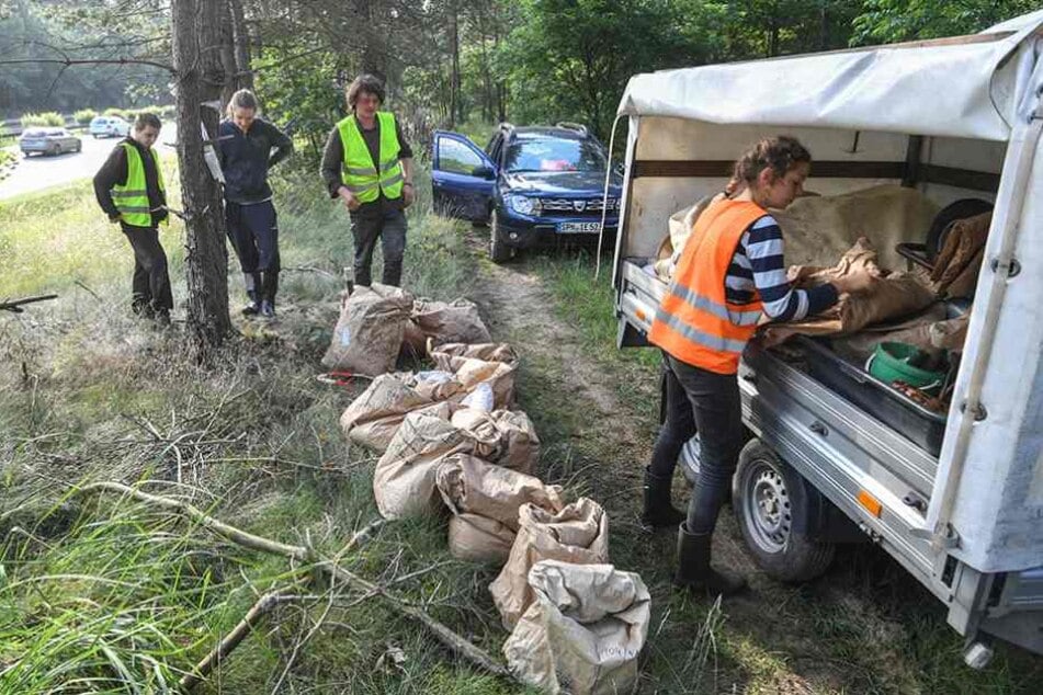 Das Ameisenvolk ist in Säcken verpackt und wird auf den "Umzugstransporter" geladen.