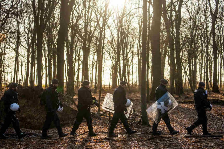Im vergangenen Herbst wurden 86 Baumhäuser geräumt. Im Januar wurden bereits wieder knapp 50 neue gezählt.