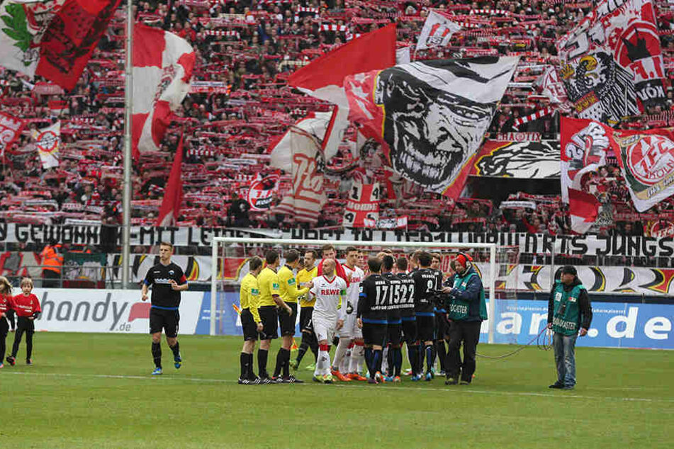 9. Februar 2014: Der 1. FC Köln empfing den SC Paderborn am 20. Spieltag der Bundesliga.