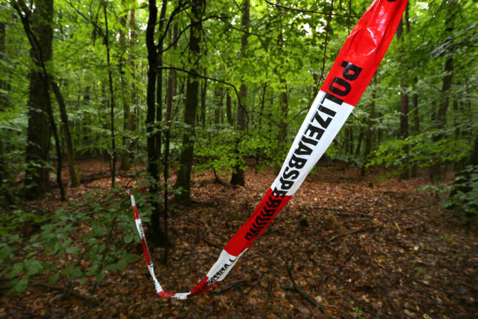 In der Nähe eines Waldstücks wurden die Knochen gefunden. (Symbolbild)