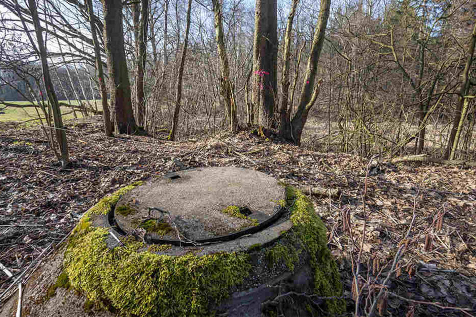 Noch ist nicht viel vom Bach zu sehen: Bald soll hier ein Paradies für Tiere und Pflanzen entstehen.