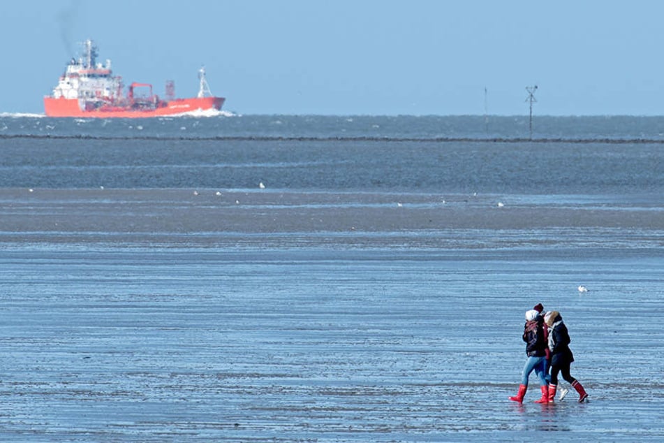 Einige Menschen unterschätzen die Gefahren vom Wattenmeer. Die Flut kann plötzlich kommen. (Symbolbild)