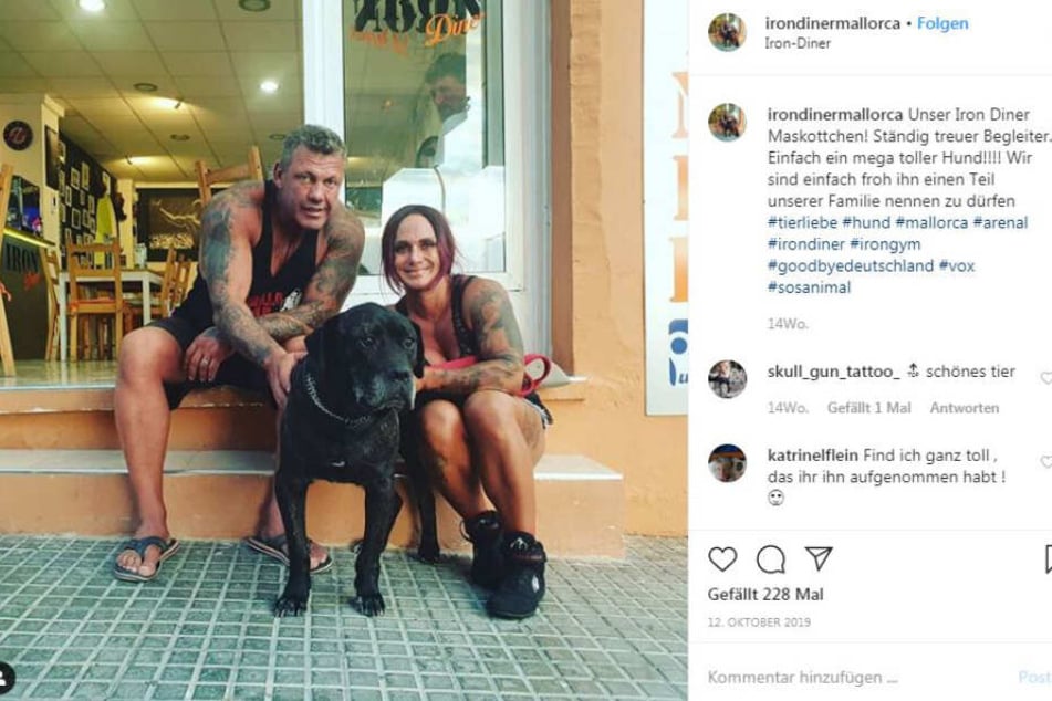 Hund von Bulldogge getötet! Caro und Andreas Robens in tiefer Trauer