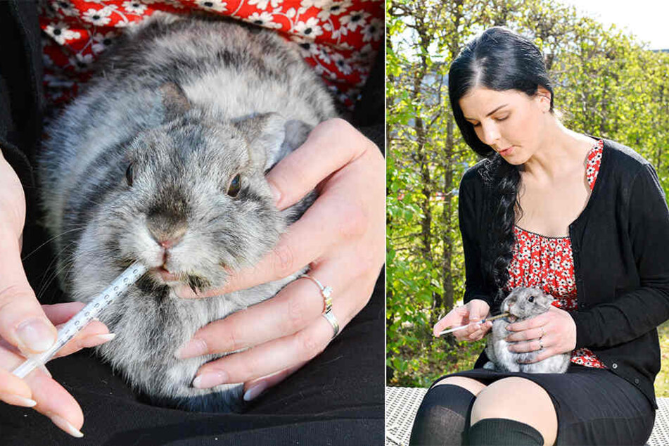 Uta Lüdtke (33) hat ein Herz für Kaninchen. Ihr aktuelles Sorgenkind Motti pflegt und hegt sie seit einer Woche. Alle zwei Stunden gab sie ihr mit Spritzen Päppelbrei ins Mäulchen.