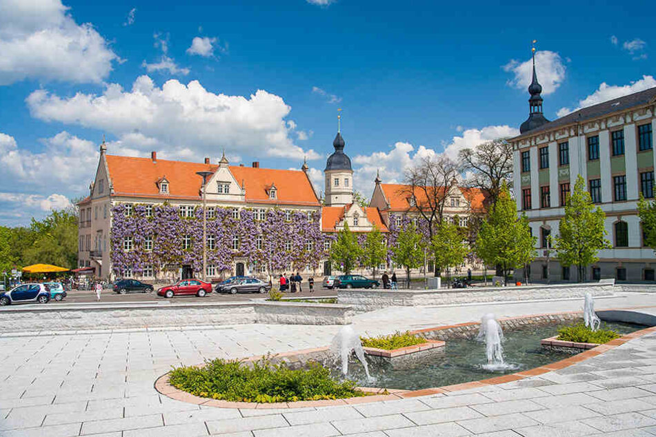 Vom 6. bis zum 8. September lädt Riesa zum Tag der Sachsen ein.