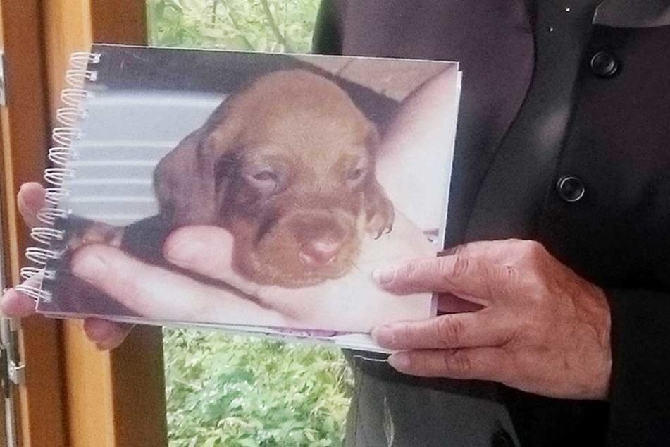 Als Welpe war der Hund plötzlich verschwunden und taucht Jahre später im 500 Kilometer entfernten München wieder auf.