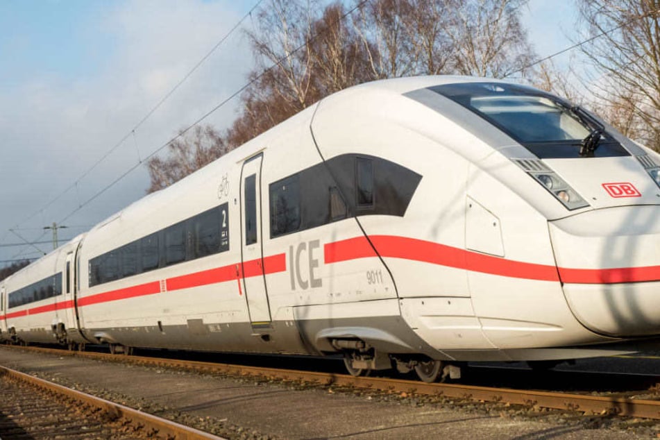 Wegen eines Vogels musste die Zugstrecke Hamburg-Berlin etwa eine Stunde gesperrt werden. (Symbolbild)
