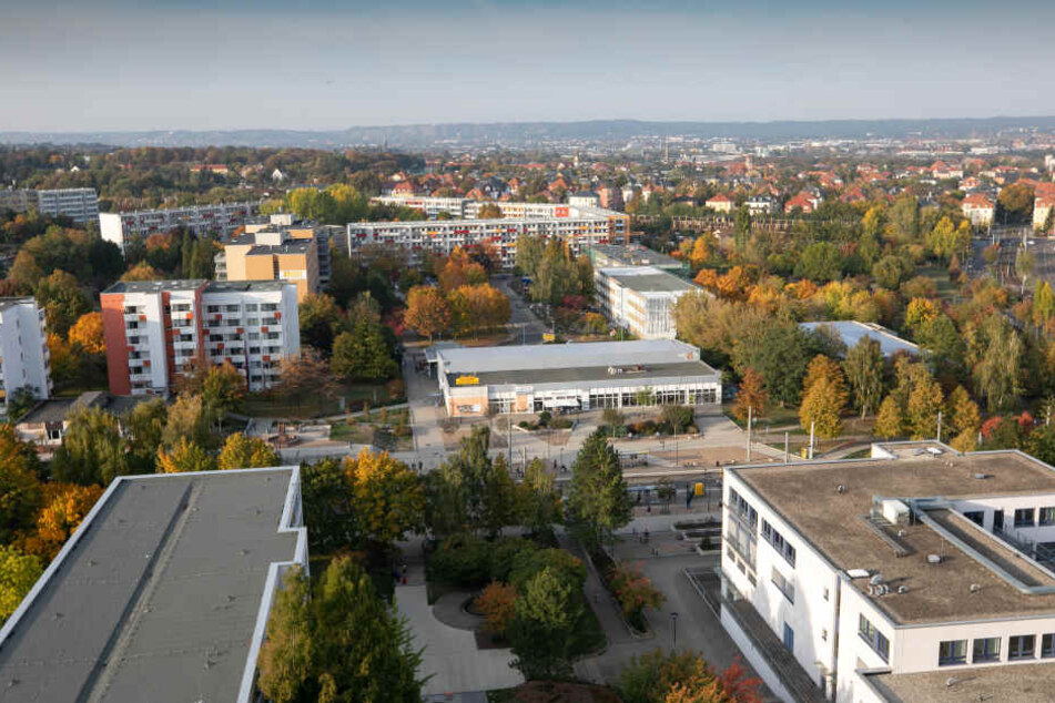 Blick vom Hochhaus Gorbitz.
