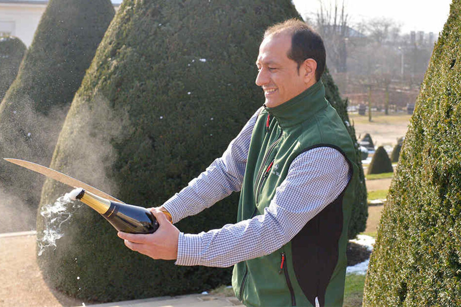 Zack! Wackerbarth-Kellermeister Jürgen Aumüller (43) setzt den Säbel an und haut mit viel Präzision zu.