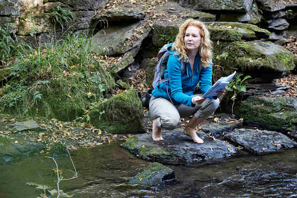 Nach der europäischen Qualitätsnorm verdient kein einziger sächsischer Fluss das Prädikat sehr gut. Während der Süden mit Altlasten aus dem Bergbau zu kämpfen hat, sind im flachen Norden die Einträge aus der Landwirtschaft zu hoch.