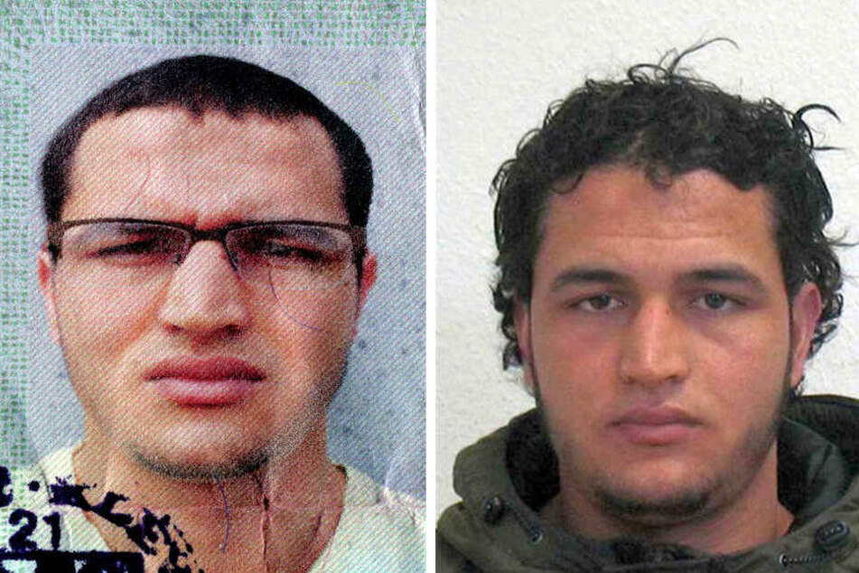 Die Bildkombo zeigt die am 21.12.2016 vom Bundeskriminalamt (BKA) veröffentlichten Fahndungsfotos des Berliner Weihnachtsmarkt-Attentäters Anis Amri.