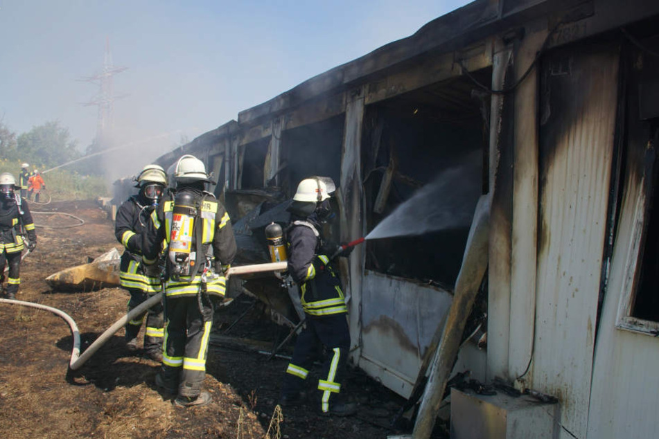 Feuerwehrmänner bekämpfen die Flammen im Innern der Einrichtung.