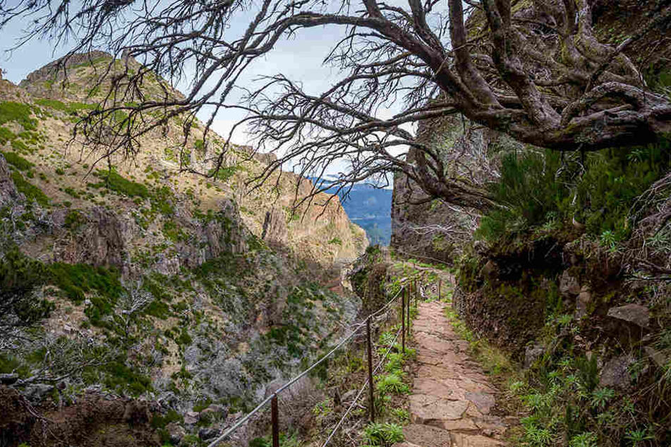 In einer Schlucht im Norden Teneriffas ist die blutige Tat geschehen.