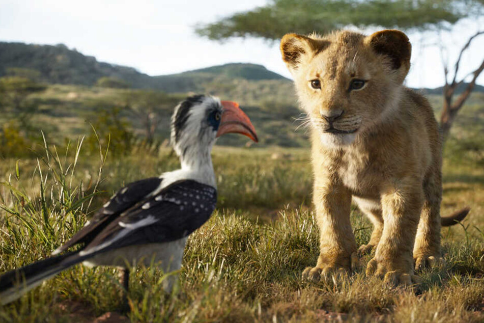 Selten war ein Film so umstritten und wurde so unterschiedlich gesehen, wie "Der König der Löwen".