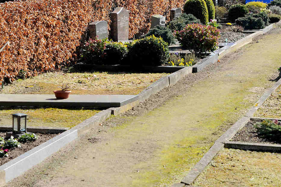 Auf einem Friedhof soll die Frau vergewaltigt worden sein. (Symbolbild)