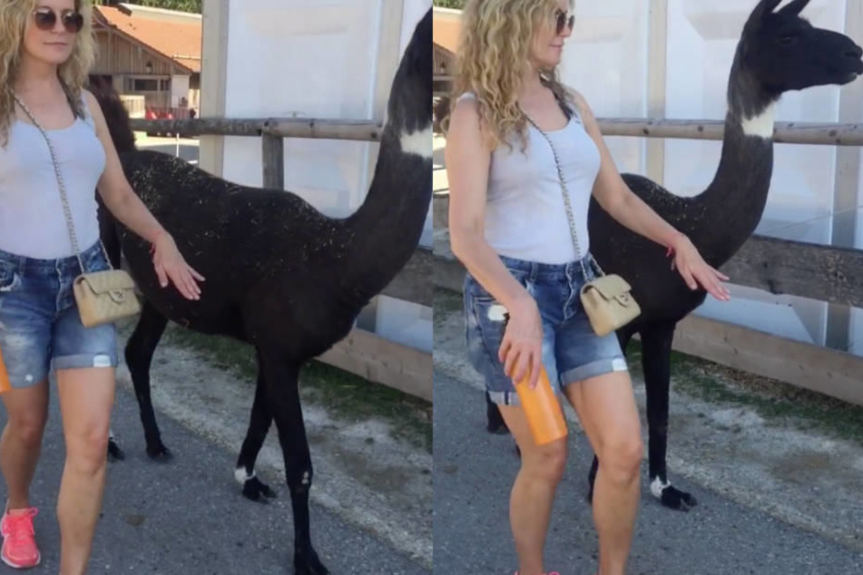 Kaum vom Original zu unterscheiden: Katja Burkard perfektioniert den "Lama-Walk".