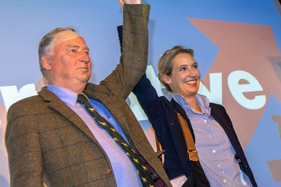 Grund zur Freude für Alexander Gauland und Alice Weidel: Wären am Sonntag in Cottbus Landtagswahlen würde die AfD auf 29 Prozent kommen.