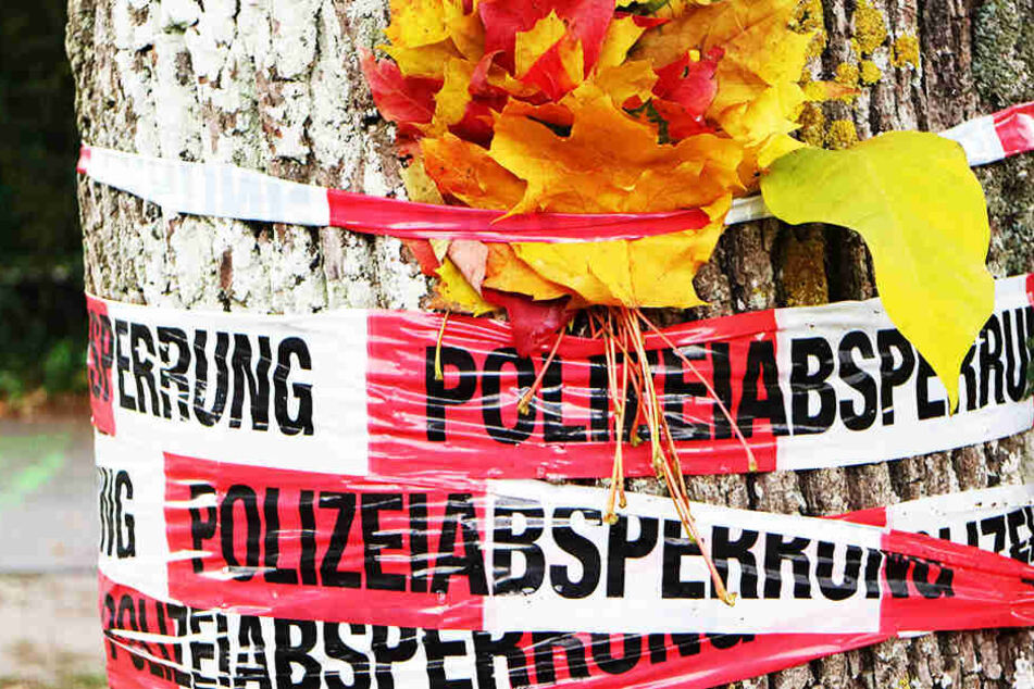 Die bisherigen Ermittlungen waren in beiden Fällen ins Leere gelaufen.