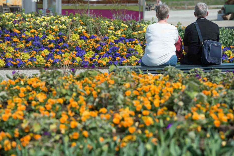 Die aktuelle Landesgartenschau findet in Würzburg statt.