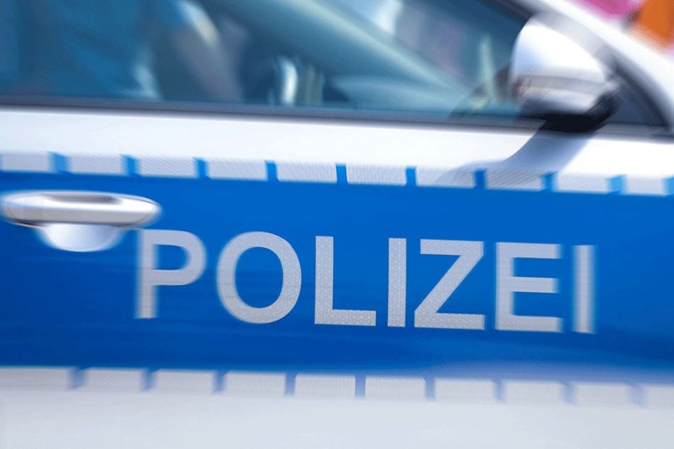 Die Polizei schließt aus, dass der Hund von alleine sprang (Symbolbild).
