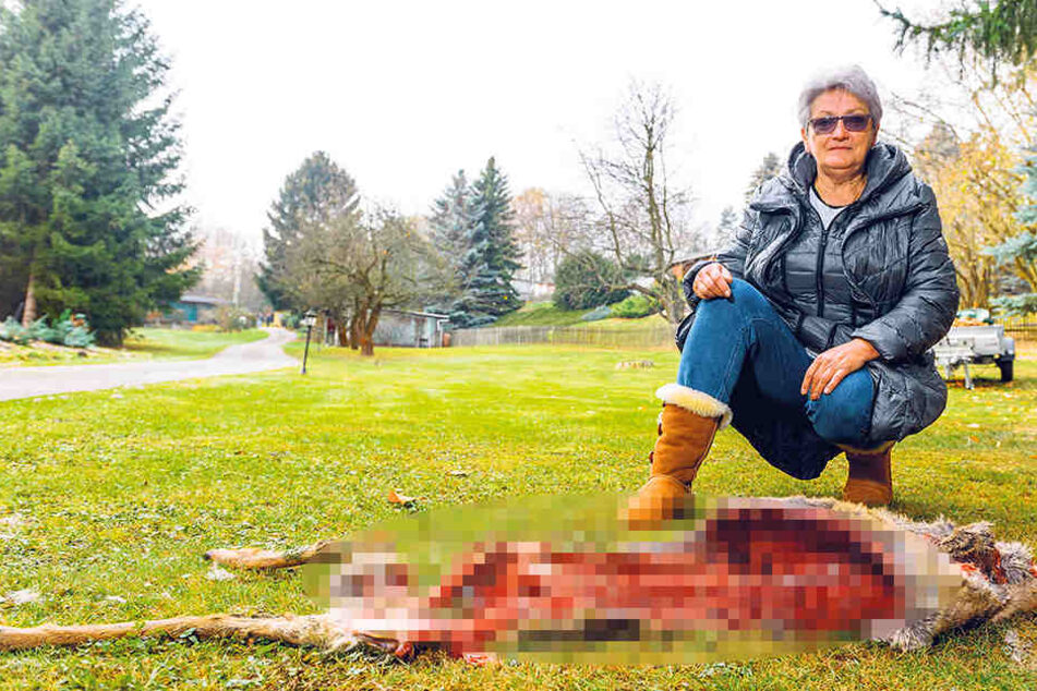 Karin Wündrich (67) fand auf ihrem Grundstück dieses völlig zerfetzte Reh.