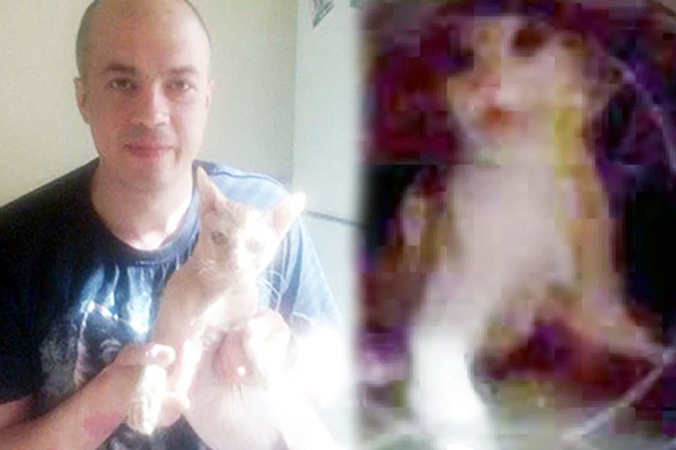 Ivan (37) tötete Kater "Ryzhik", weil er die Trennung seiner Freundin nicht verkraftete.