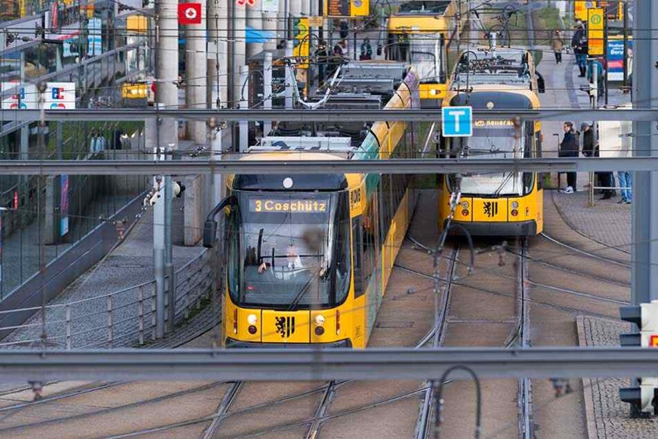 Straßenbahnen in Dresden, die Bundesregierung prüft, ob der Nahverkehr kostenlos werden könnte, um gegen Luftverschmutzung vorzugehen.