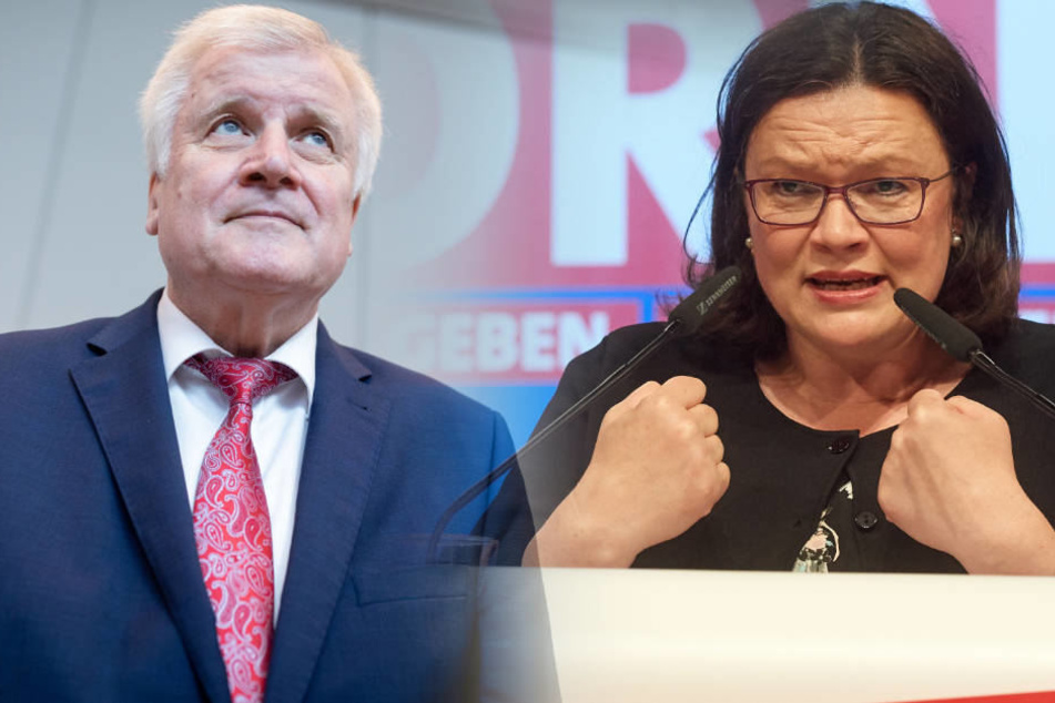 Seehofer würde dem Machtkampf mit der Kanzlerin alles unterordnen, sagte Nahles. Sie erwarte deshalb, dass die Regierungskoalition zerbricht.