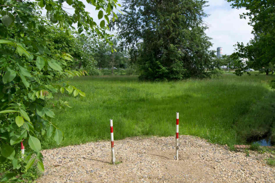 In diesem Park soll der Hund angeblich den Säugling attackiert haben.