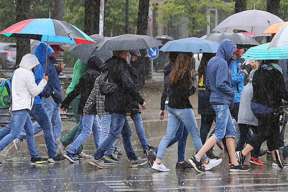 Regen ist in diesem Sommer leider ein ewiger Begleiter. Auch die nächsten Tage.