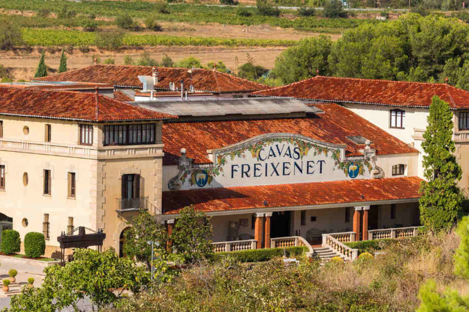 Der Unternehmenssitz von Freixenet im idyllischen Sant Sadurní d'Anoia.