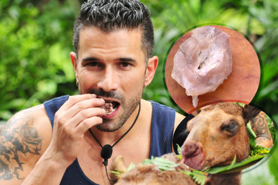 Die Krone für Magic Marc (38)! Er konnte sich echt durchbeißen! Glückwunsch!