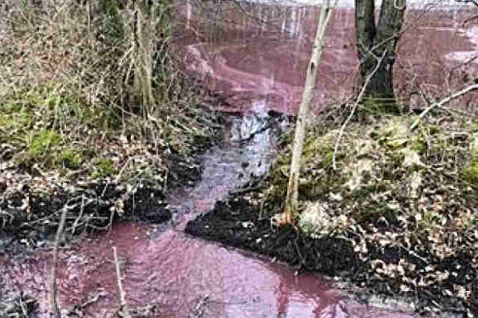 Zwei Gewässer in Herzebrock-Clarholz haben eine blutrote Farbe.