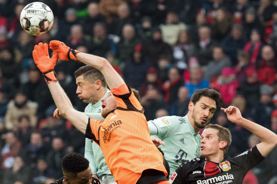 Lukas Hradecky und Robert Lewandowski kämpfen um den Ball.