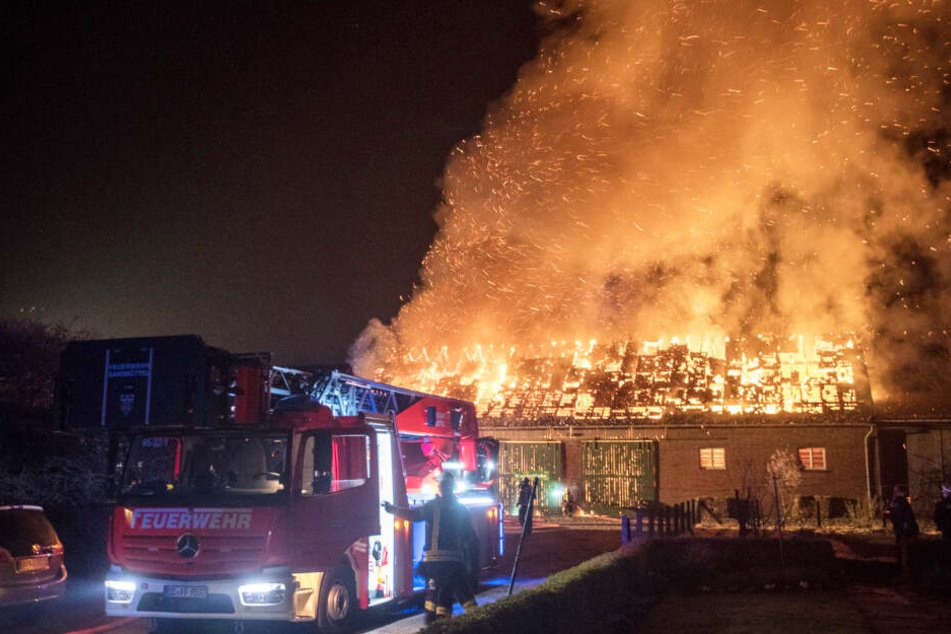 Flammen schlagen meterhoch aus der brennenden Scheune.
