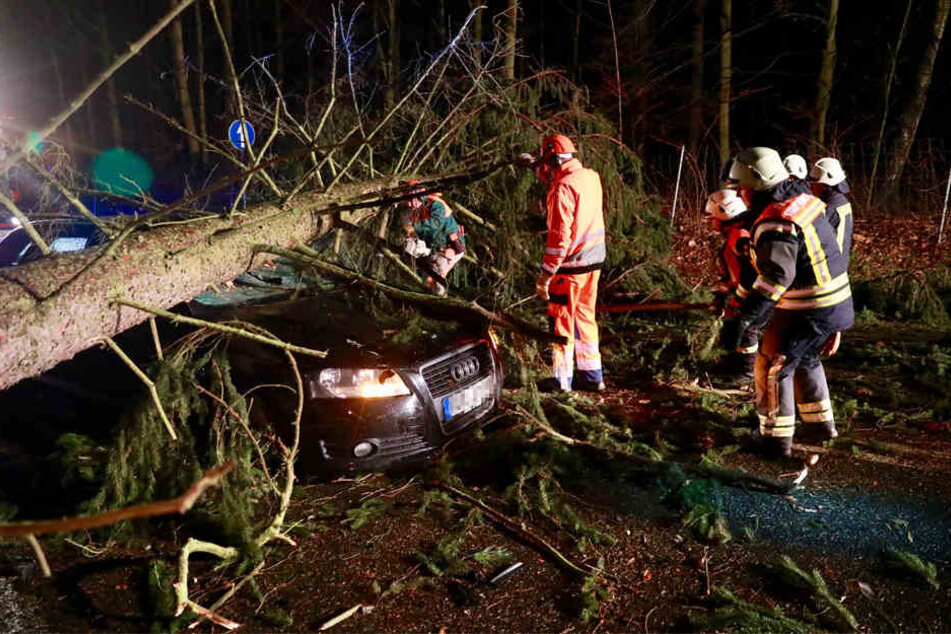 Auf der B172 bei Königsstein waren die Feuerwehrkräfte bis spät in die Nacht im Einsatz.