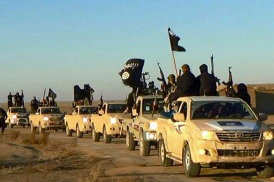Ein Fahrzeug-Konvoi der Terrormiliz IS in Syrien.