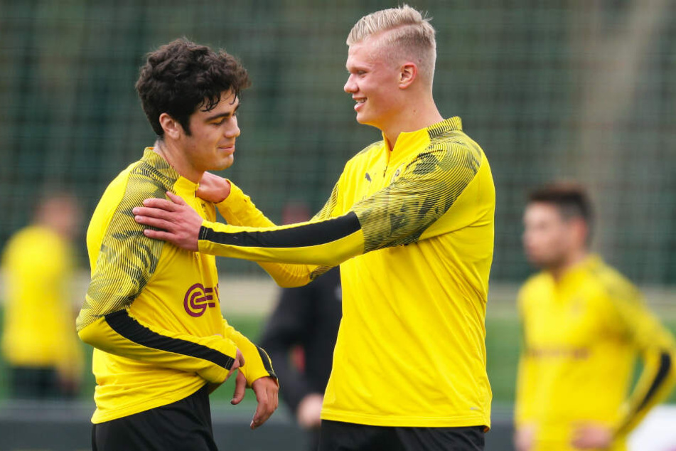Giovanni Reyna (l.) und Erling Haaland haben sichtlich Spaß im Training.