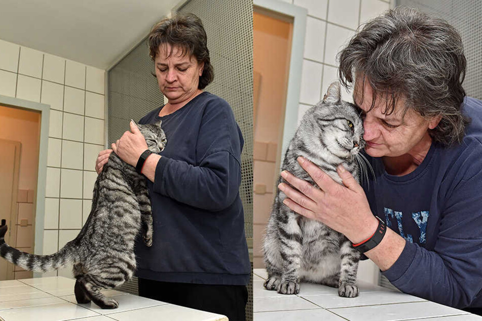 "Matis" Halter wird gesucht.