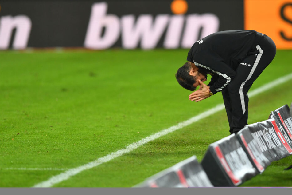 Jaaa!!! Dynamo-Coach Cristian Fiel war beim Schlusspfiff unheimlich erleichtert.