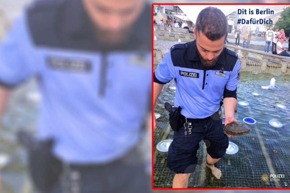 Unter Szenenapplaus wurde die kleine Schildkröte aus den reißenden Fluten gerettet.