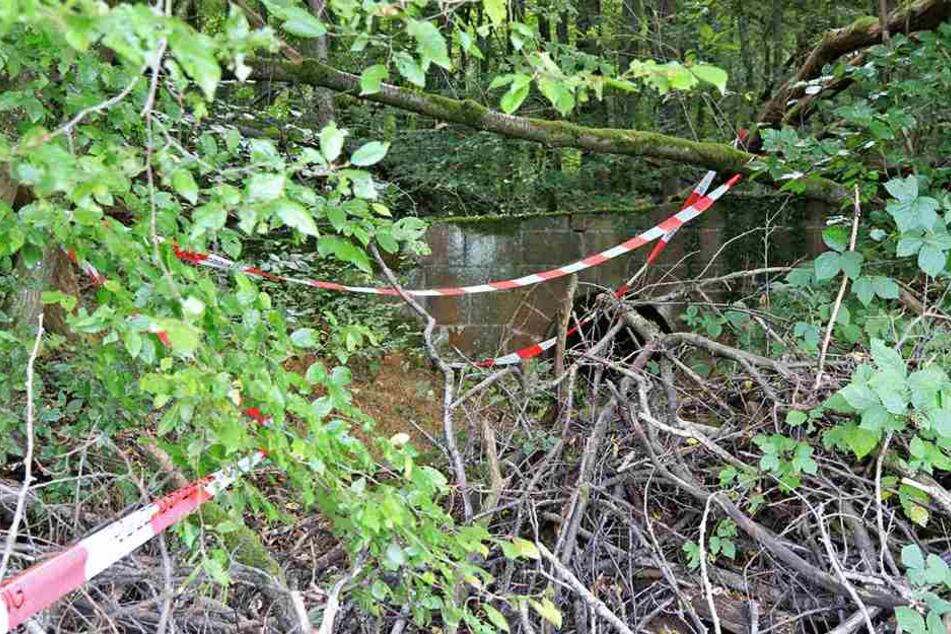 Die Leiche lag seit Jahren in dem Waldstück.