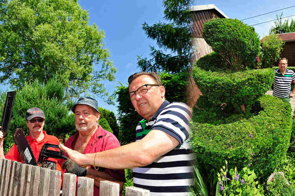 Die Mitglieder des Vereins wehren sich hartnäckig! Gunnar Löser (rechts) liebt seine kunstvoll geschnittene Konifere.